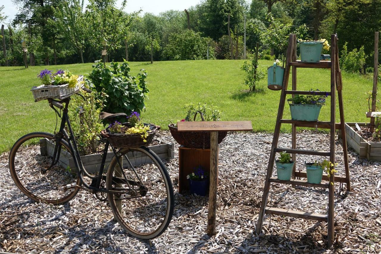 Le Manoir Des Aromes Hotel Brugny-Vaudancourt Екстериор снимка